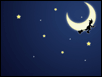 Witch Moon